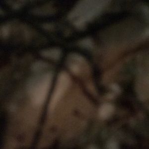 Interested in army hats